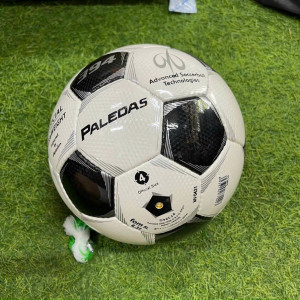 BÓNG ĐỘNG LƯC - BÓNG HẢI PHÒNG (PALEDAS) #19